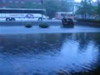 IMG_2175.jpg (91kb)