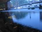 IMG_2177.jpg (73kb)
