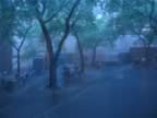 IMG_2181.jpg (62kb)