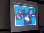IMG_2351.jpg (59kb)