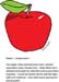 SandraApple1a
