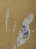 Plaster Wall