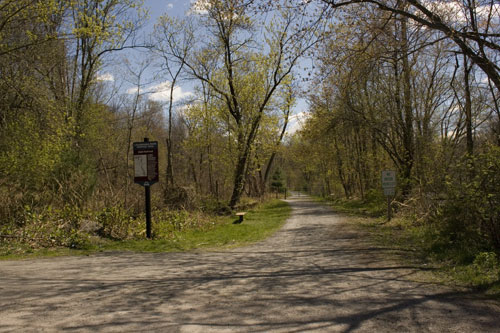 Laurel Trail Picture 1