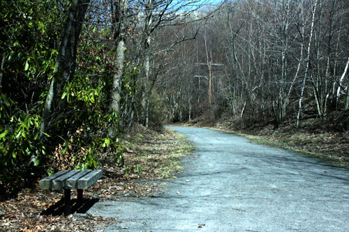 Laurel Trail Picture 10