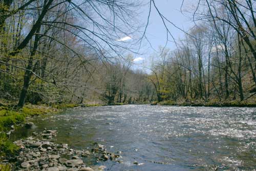 Laurel Trail Picture 3