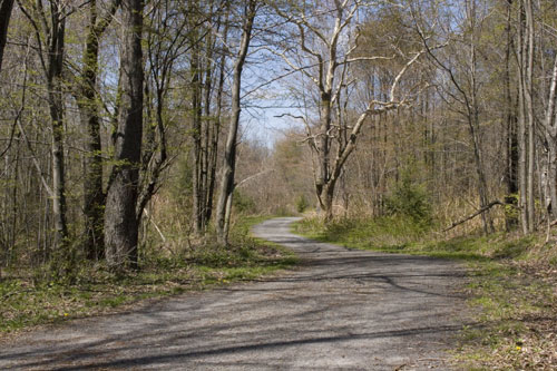 Laurel Trail Picture 4
