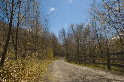 Laurel Trail Picture 5