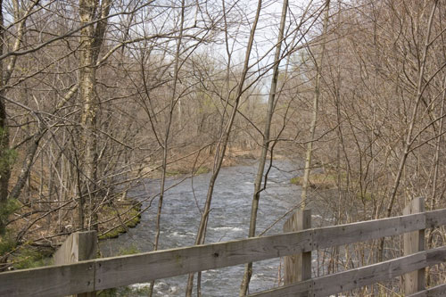 Laurel Trail Picture 7