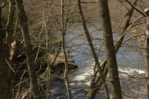 Laurel Trail Picture 8