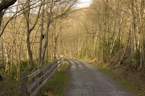 Laurel Trail Picture 9