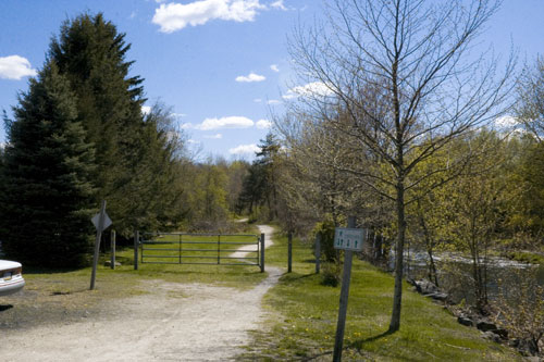 Maslyar Park Picture 1