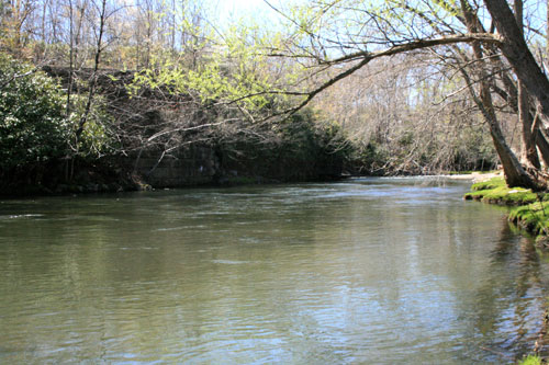 Maslyar Park Picture 10