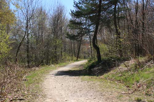 Maslyar Park Picture 2