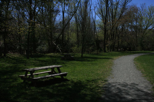 Maslyar Park Picture 9