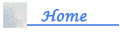 Home button