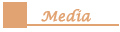 Media button