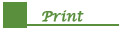 Print button